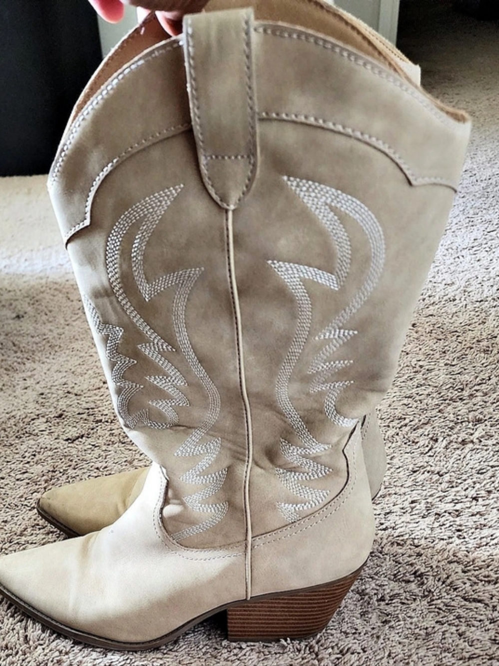 Embroidered Western Boots in Beige